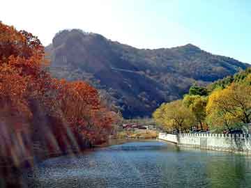 澳门二四六天天彩图库，松脂价格